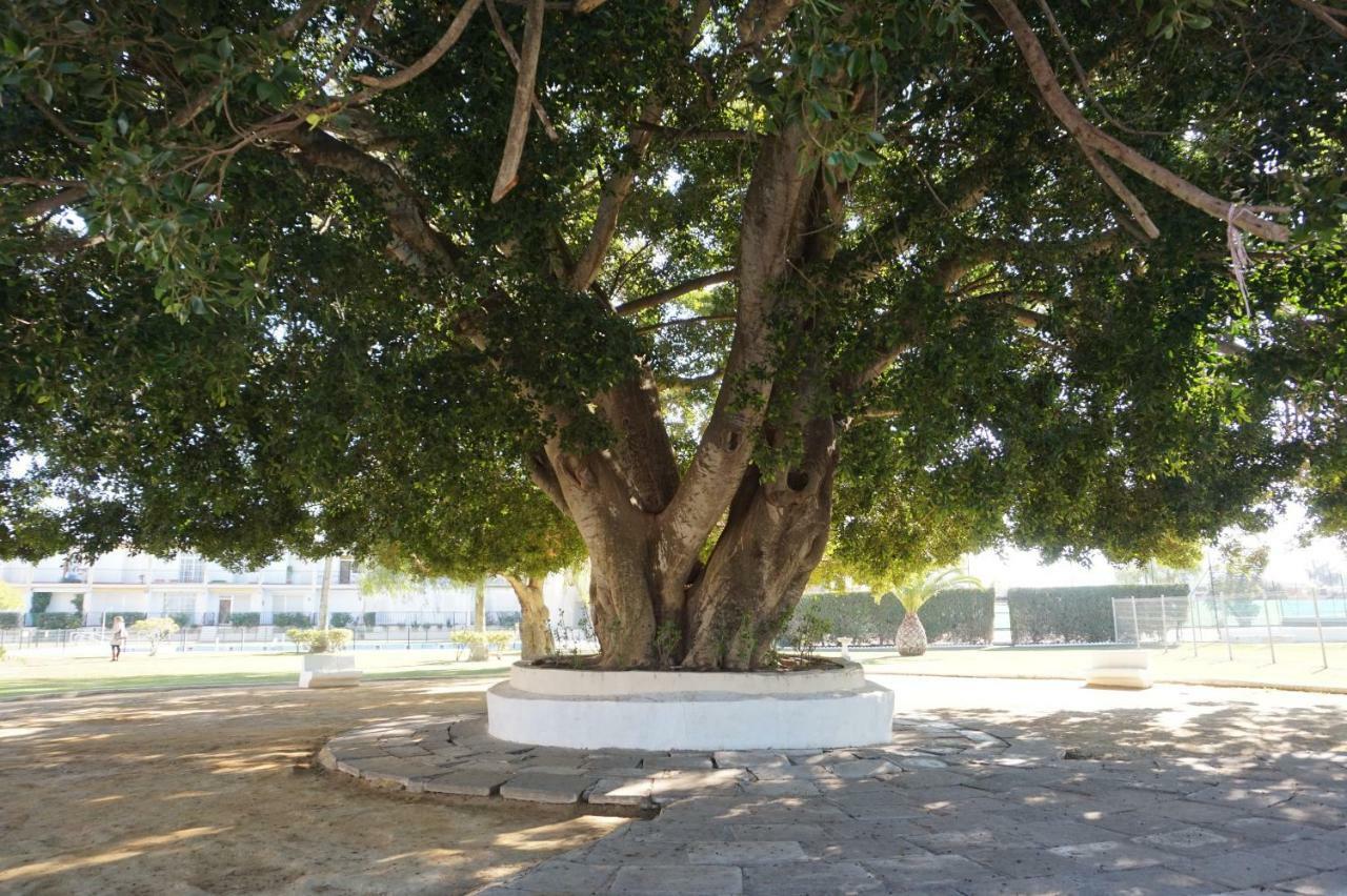 Villa Horacia Sanlúcar de Barrameda Exteriör bild